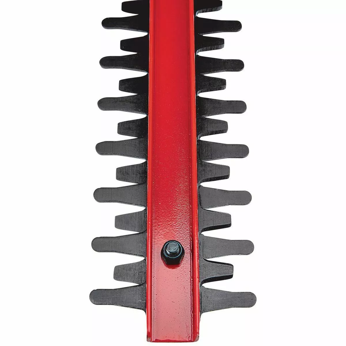 BAUER 20V Cordless Hedge Trimmer – Tool Only 11 BAUER 20V Cordless Hedge Trimmer – Tool Only - Image 11